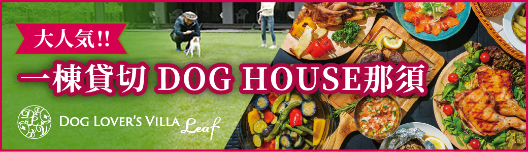 DOG LOVER'S VILLA 愛犬同伴型別荘のNEWスタイル  会員制一棟貸し 700坪のドッグラン付きプライベートヴィラ