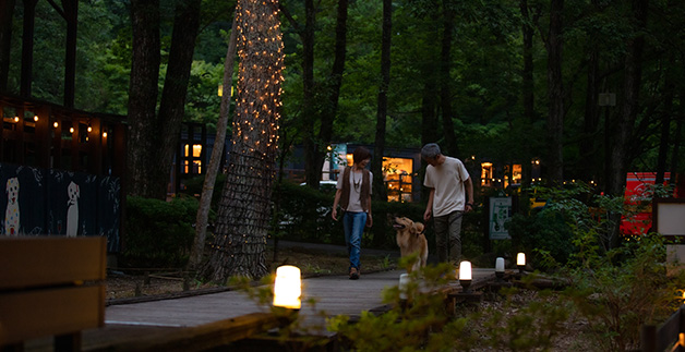 夜の散歩道『杜の灯』