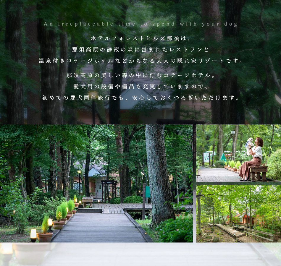 ホテルフォレストヒルズ那須は、那須高原の静寂の森に包まれたレストランと温泉付きコテージホテルなどからなる大人のリゾートです。